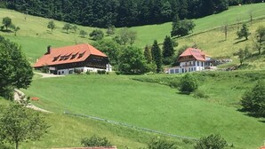 Un hotel rural con techo rojo, rodeado de verdes colinas y un denso bosque.
