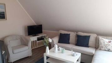 Fernseher, Kamin, DVD-Player