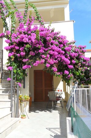 Property grounds - Große Ferienwohnung in Zadar mit Privatem Balkon by Interhome (Zadar)