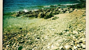 Une plage rocheuse, avec une eau claire et une côte qui s’étend au loin.