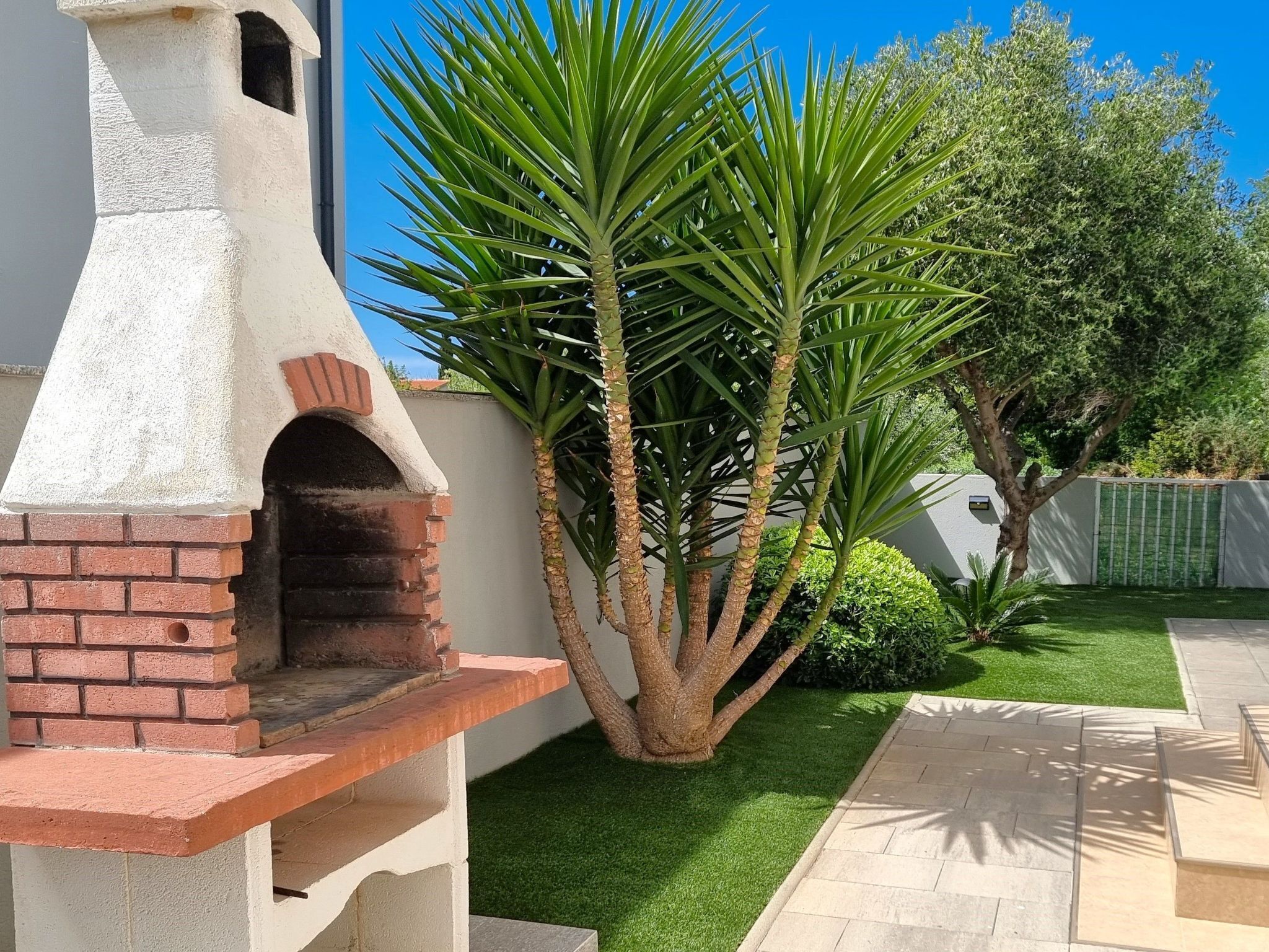 Un'area patio con un forno esterno in mattoni, prato artificiale verde e una palma.
