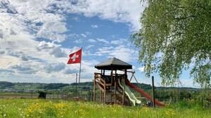 Ein Spielplatz mit einer Rutsche und einer Schweizer Flagge, umgeben von grüner Wiese und Bäumen.
