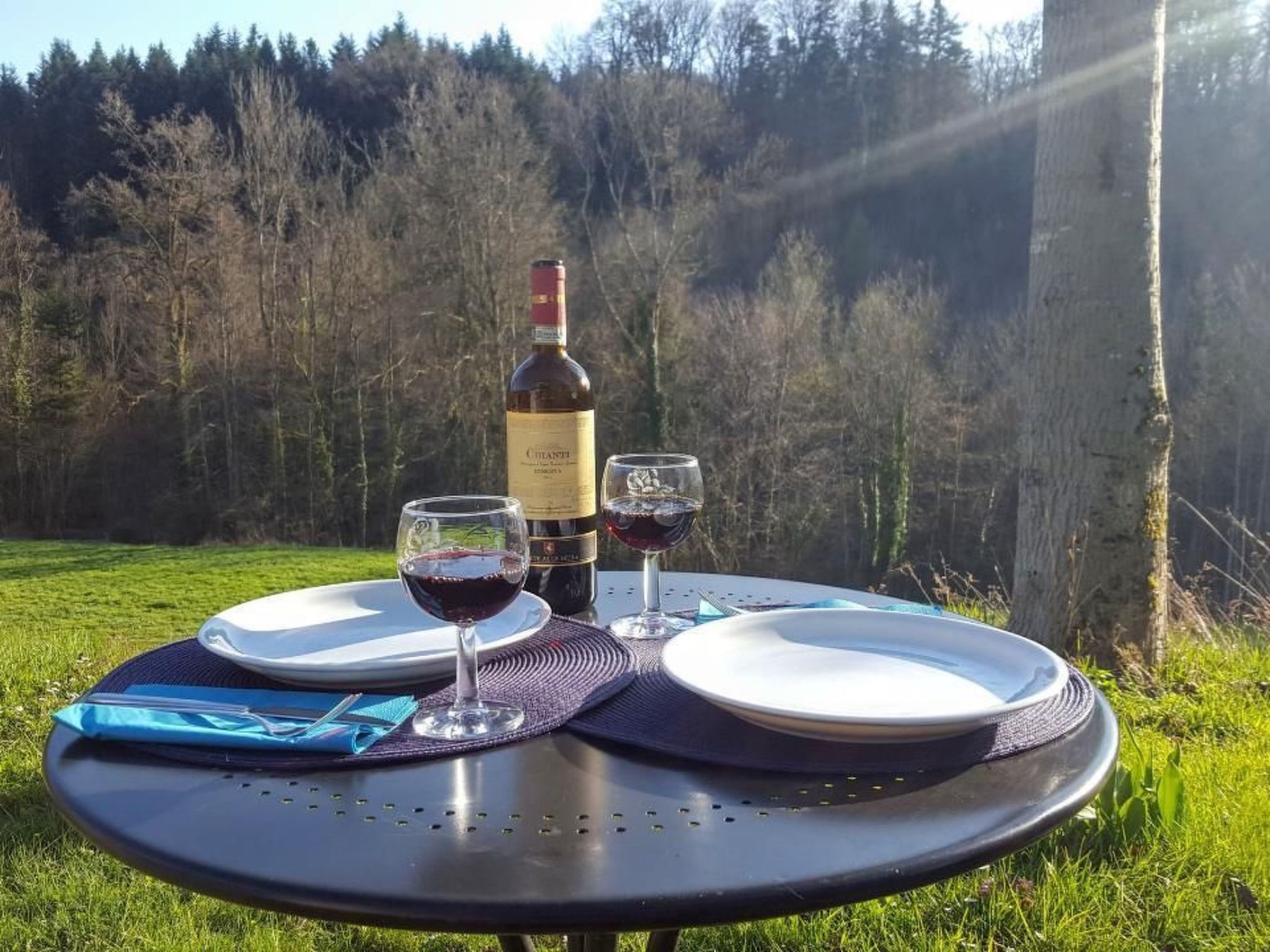 Una preparación para picnic con una botella de vino, dos copas y platos sobre una mesa al aire libre.