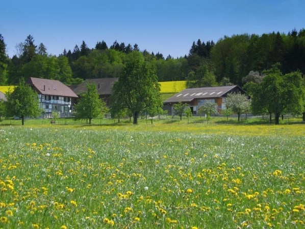 Unterkunftsgelände