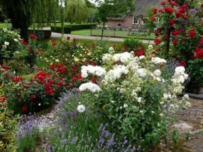 A garden with various flowers and a house in the background. - Wohnung auf dem Bauernhof by Interhome (Polsbroek)