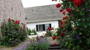En innergård med en vit byggnad, röda rosor och lila blommor.