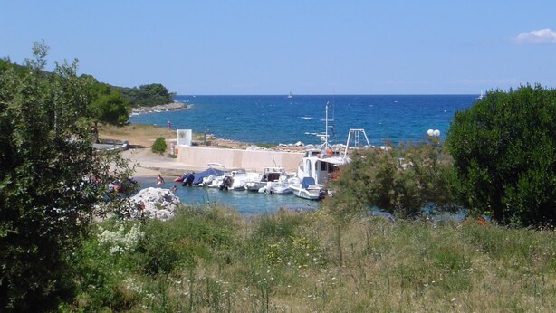 Un port de plaisance situé sur la côte, où sont amarrés des bateaux, entouré de verdure et offrant une vue dégagée sur la mer.