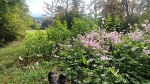 Un sendero en un jardín con abundante vegetación y flores rosadas.