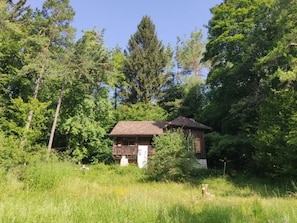 Esterni