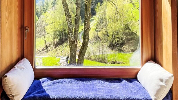 A window with a view of a forested landscape, a wooden frame, and a bench with pillows.
