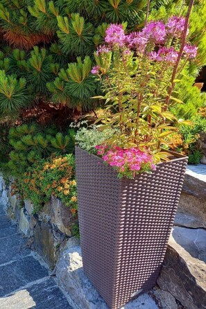 Property grounds - Aareschlucht - Erholung ab 2 Nächten by Interhome (Brünig)