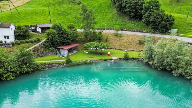 A clear view of a swimming pool with a dock, surrounded by greenery and a small building.