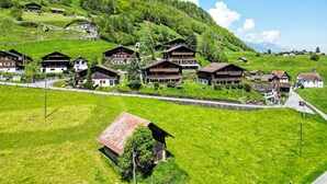 A cluster of traditional wooden houses with balconies, set in a lush green valley with a clear sky.