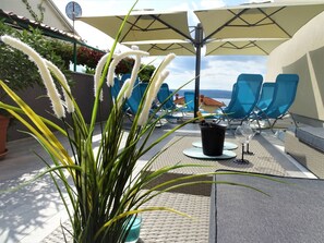 Terras