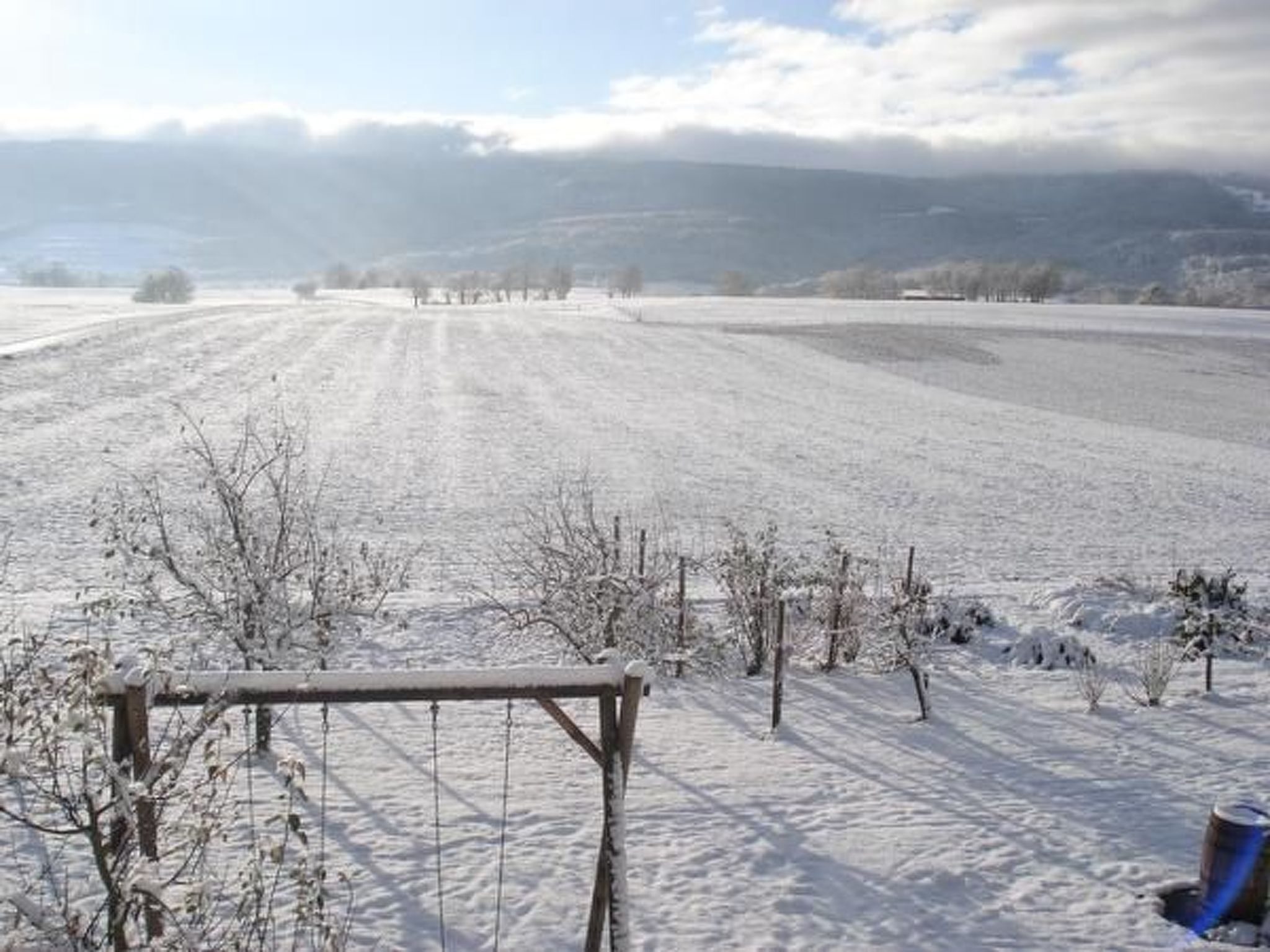 A snow-covered field with a wooden fence and a metal gate.