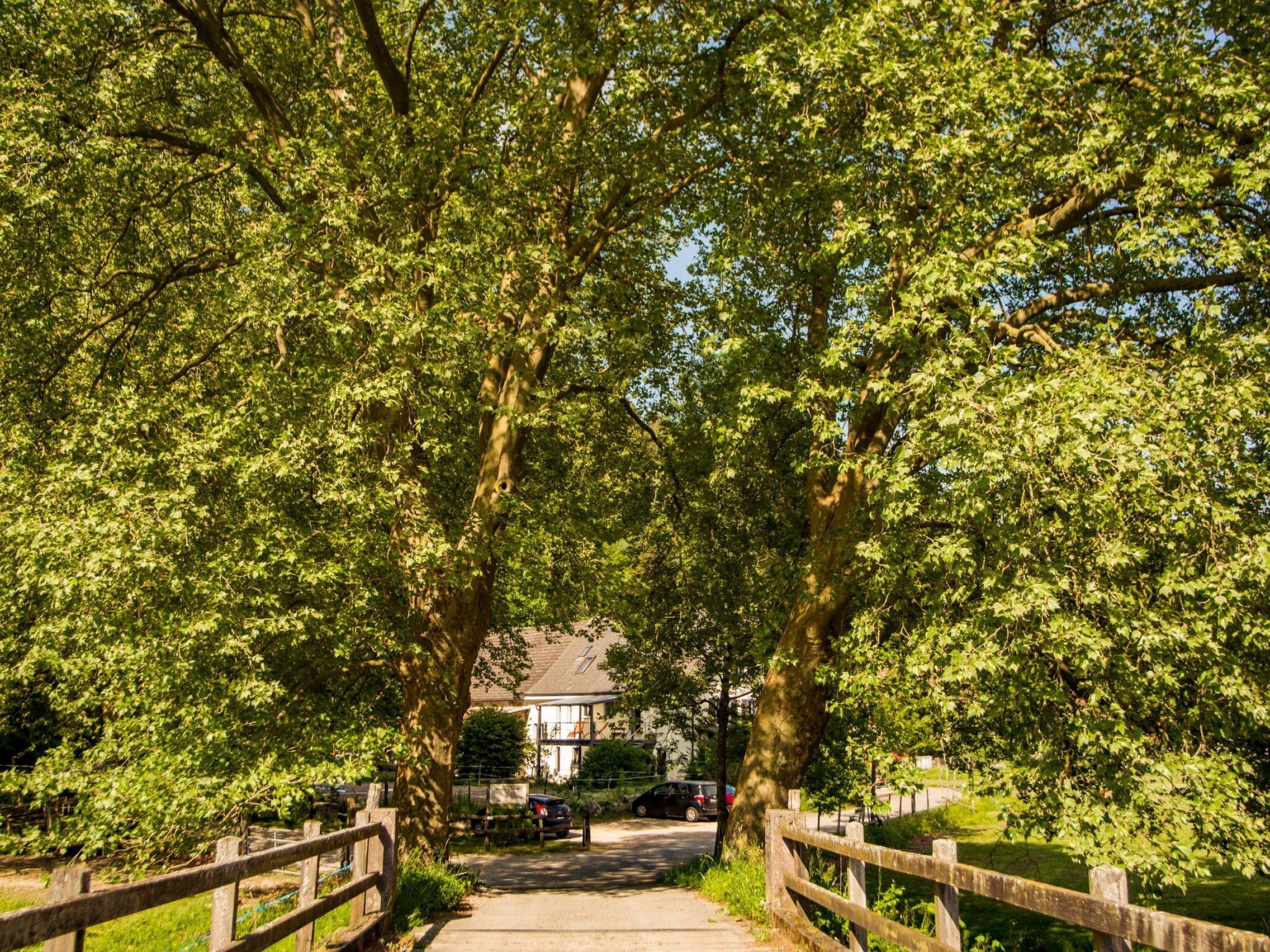 Een pad, omzoomd door houten hekken en weelderige groene bomen, leidt naar een huis met een zichtbare oprit en geparkeerde auto's.