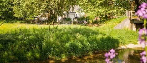 Terrein van de accommodatie