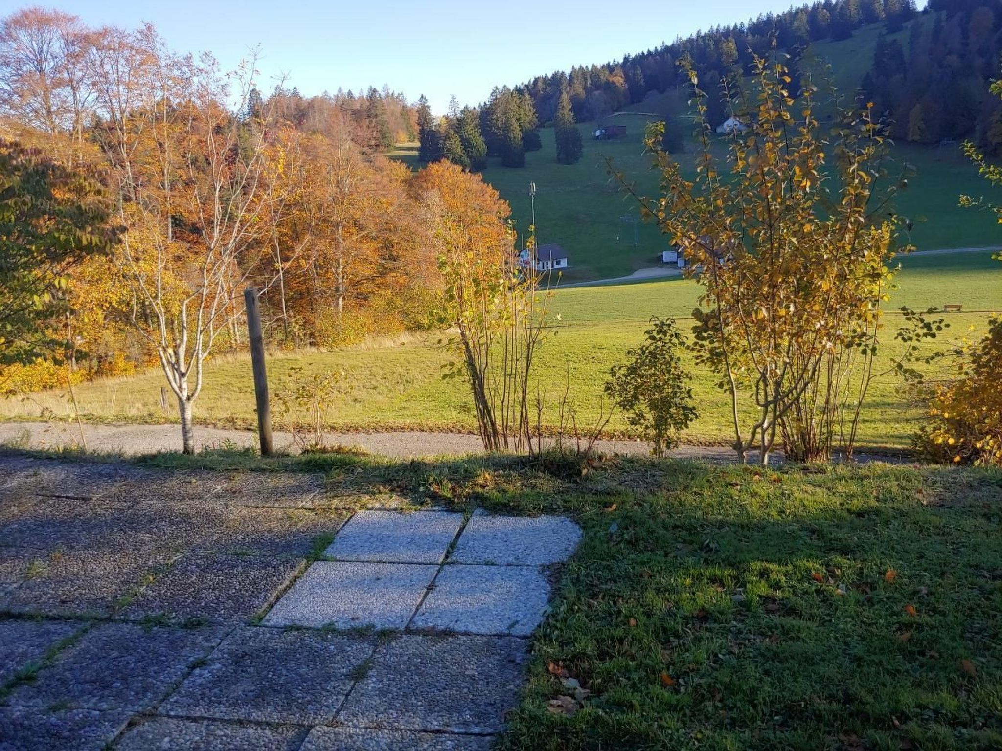 A paved area with a grassy field and trees in the background.