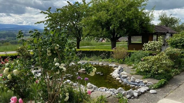 A garden with a pond, trees, and a small building.