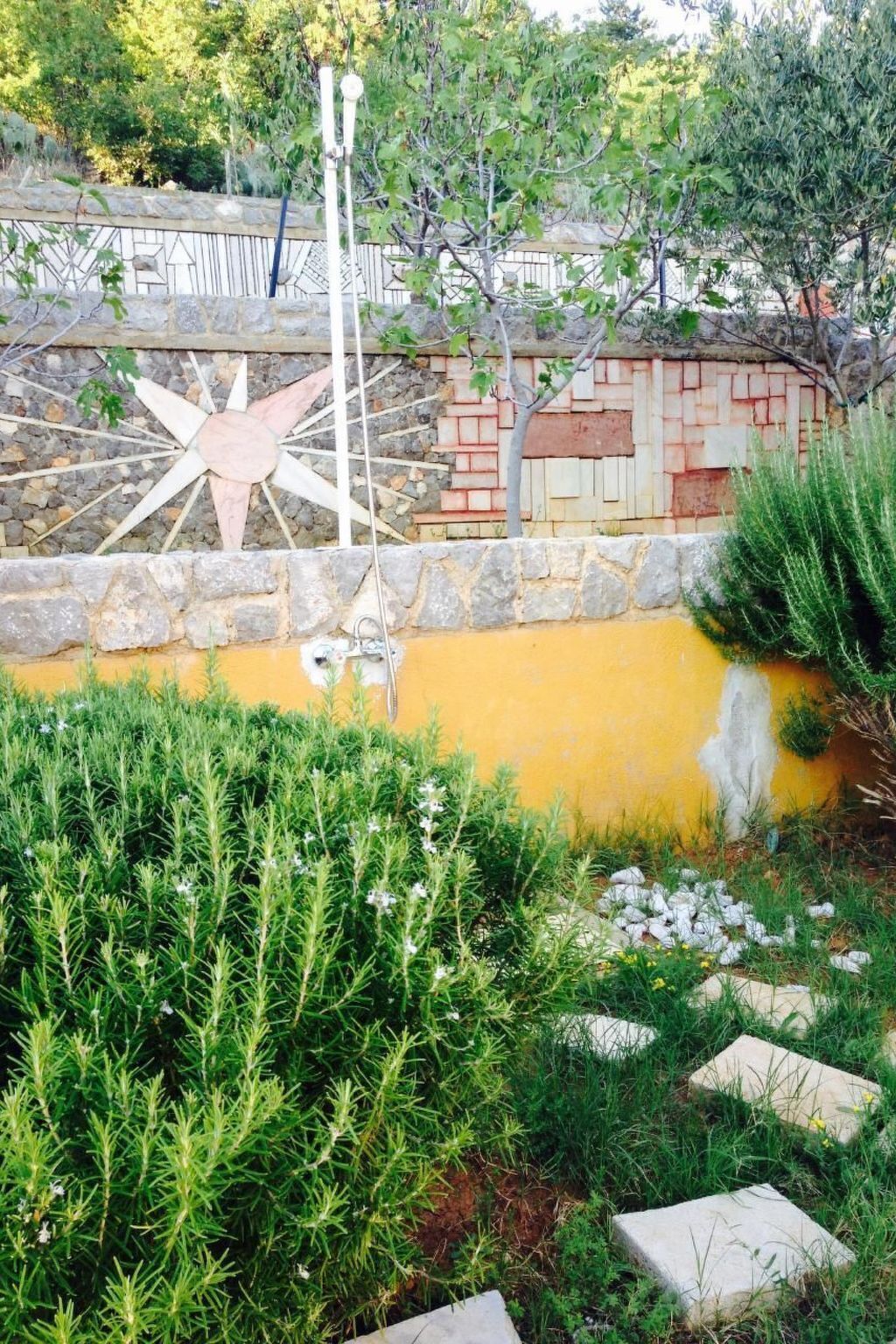 Een tuin met een ster-vormige sculptuur, een gele muur en verschillende planten.