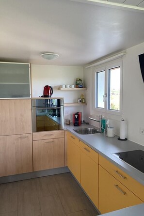 Fridge, oven, dishwasher, cookware/dishes/utensils - Bijou Höfen by Interhome (Höfen b. Thun)