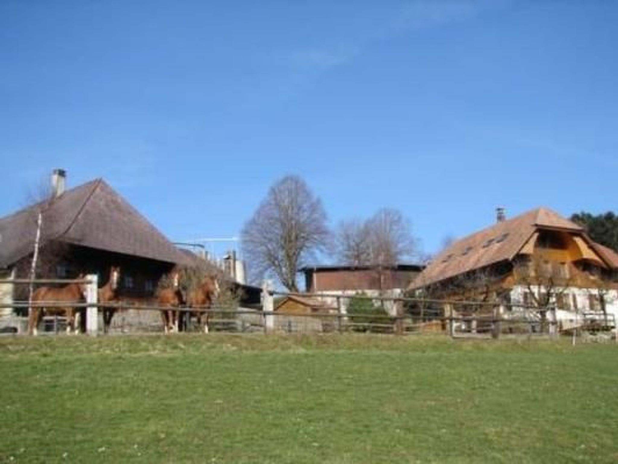 A rural setting with traditional thatched-roof houses, a fenced area, and a clear blue sky.