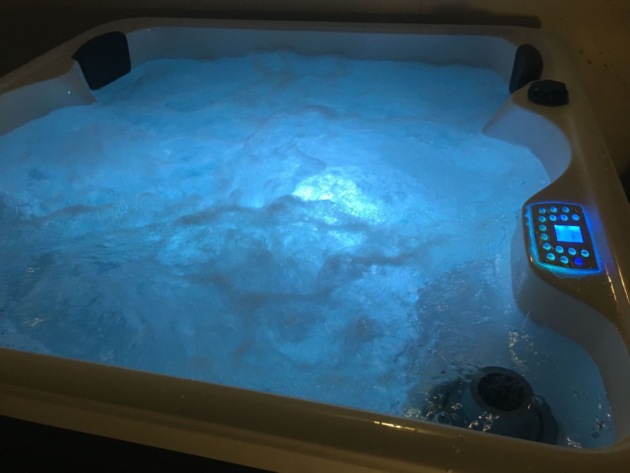 Een kuip met warm water, bedieningspaneel en één zwart voorwerp in het water.