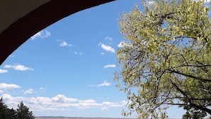 A view through a stone wall to a body of water, with a tree and a gravel area with red flowers.