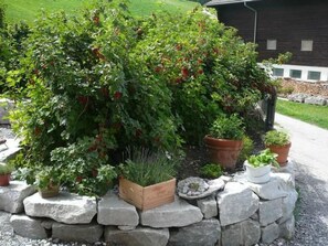 Property grounds - Hof Quadra by Interhome (Flerden)