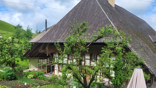 Een klassiek chalet met een steil dak, omgeven door weelderige groene begroeiing en een verzorgde tuin.