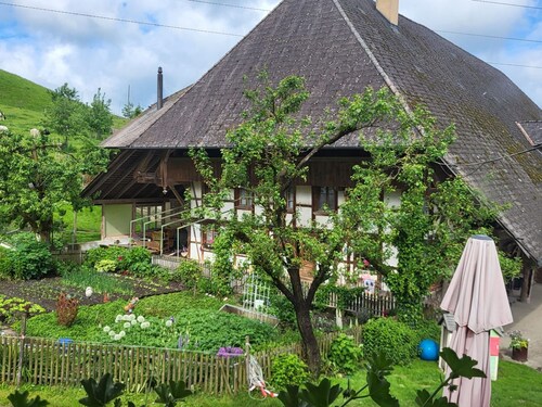 Burehof Waltrigen by Interhome