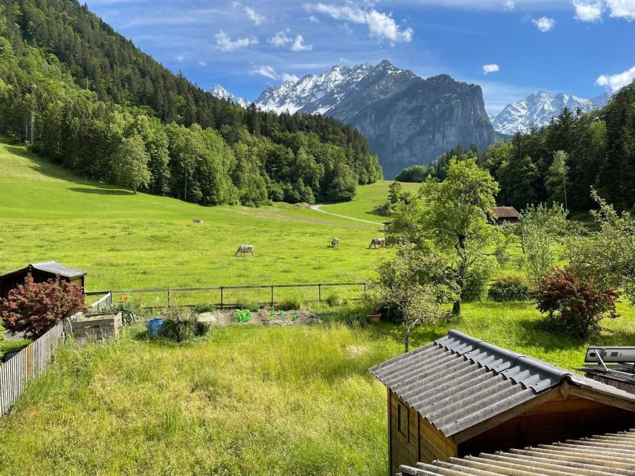 Ländliche Landschaft mit Bergen im Hintergrund, ein eingezäunter Weideplatz mit weidenden Tieren und eine Holzhütte.