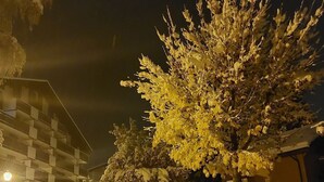 Eine schneebedeckte Straße bei Nacht mit einem Gebäude im Hintergrund.