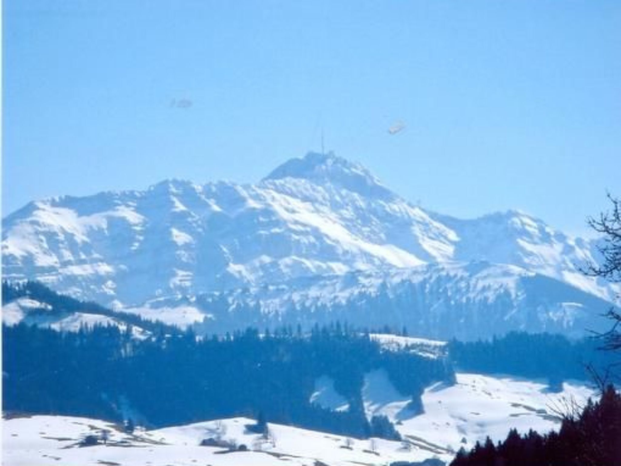 A mountain landscape with snow-covered peaks and a forested valley.