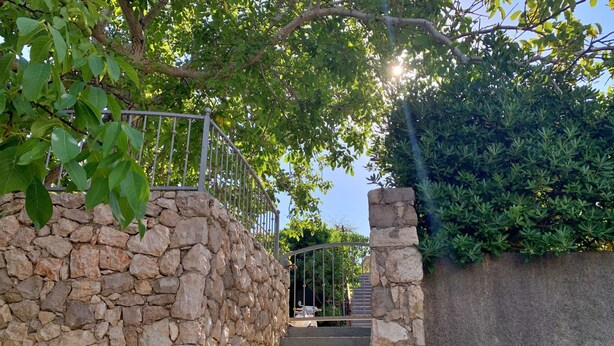 Una escalera de piedra conduce a un área vallada, rodeada de abundante vegetación y una barandilla de metal.