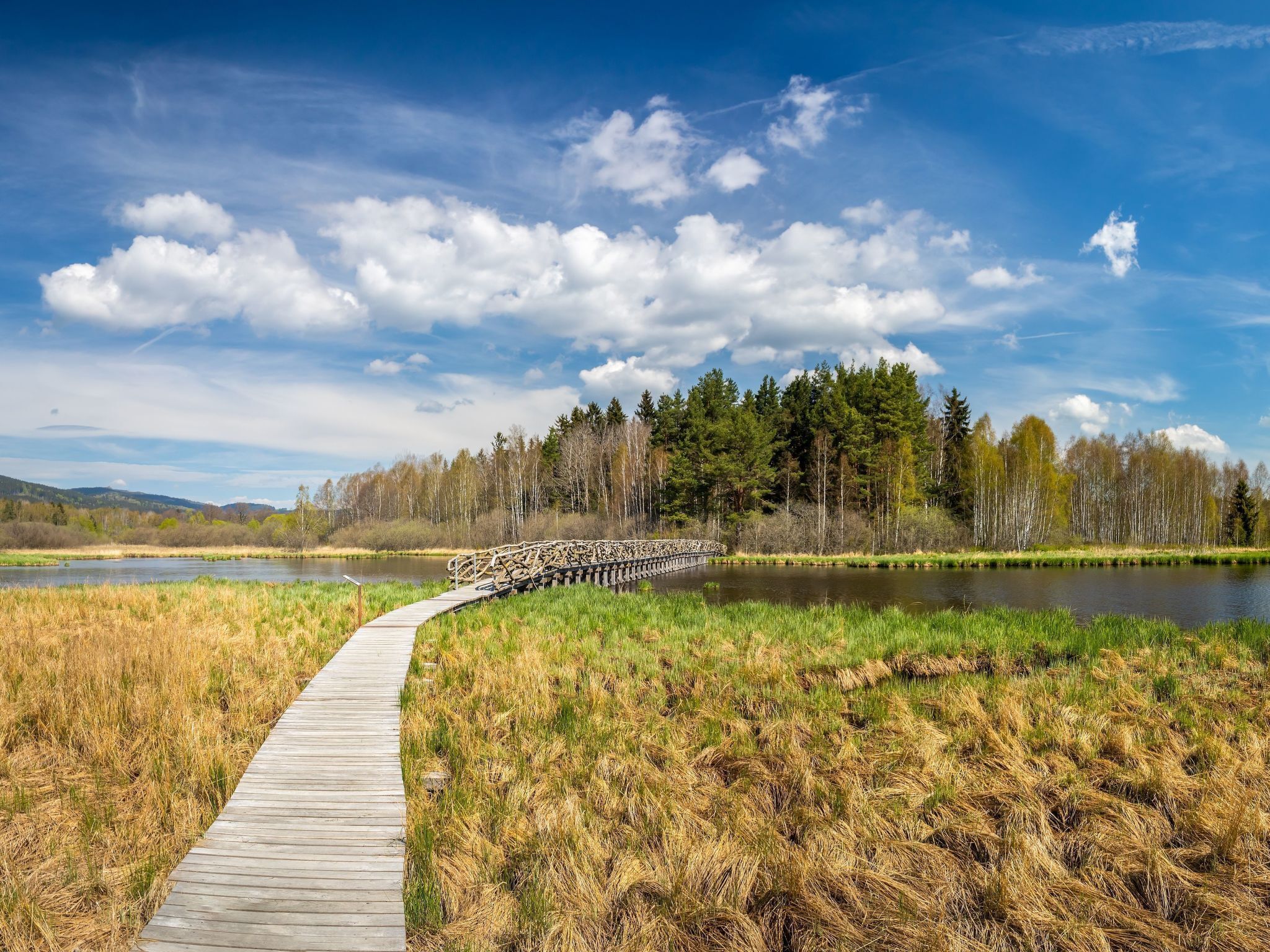 A wooden boardwalk leading to a stone bridge over a calm lake, surrounded by grassy fields and dense trees under a clear sky.