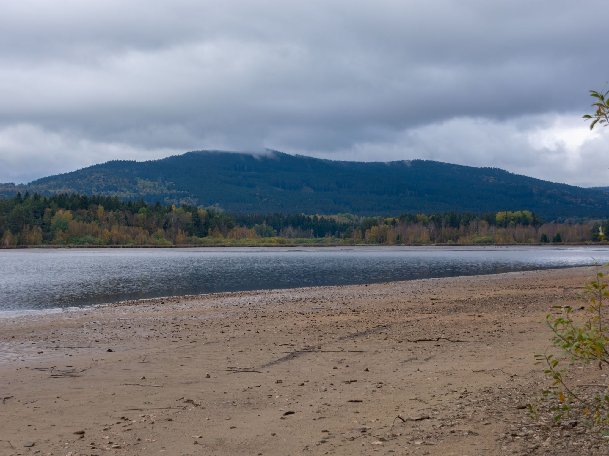 A riverbank with a forested mountain in the background.