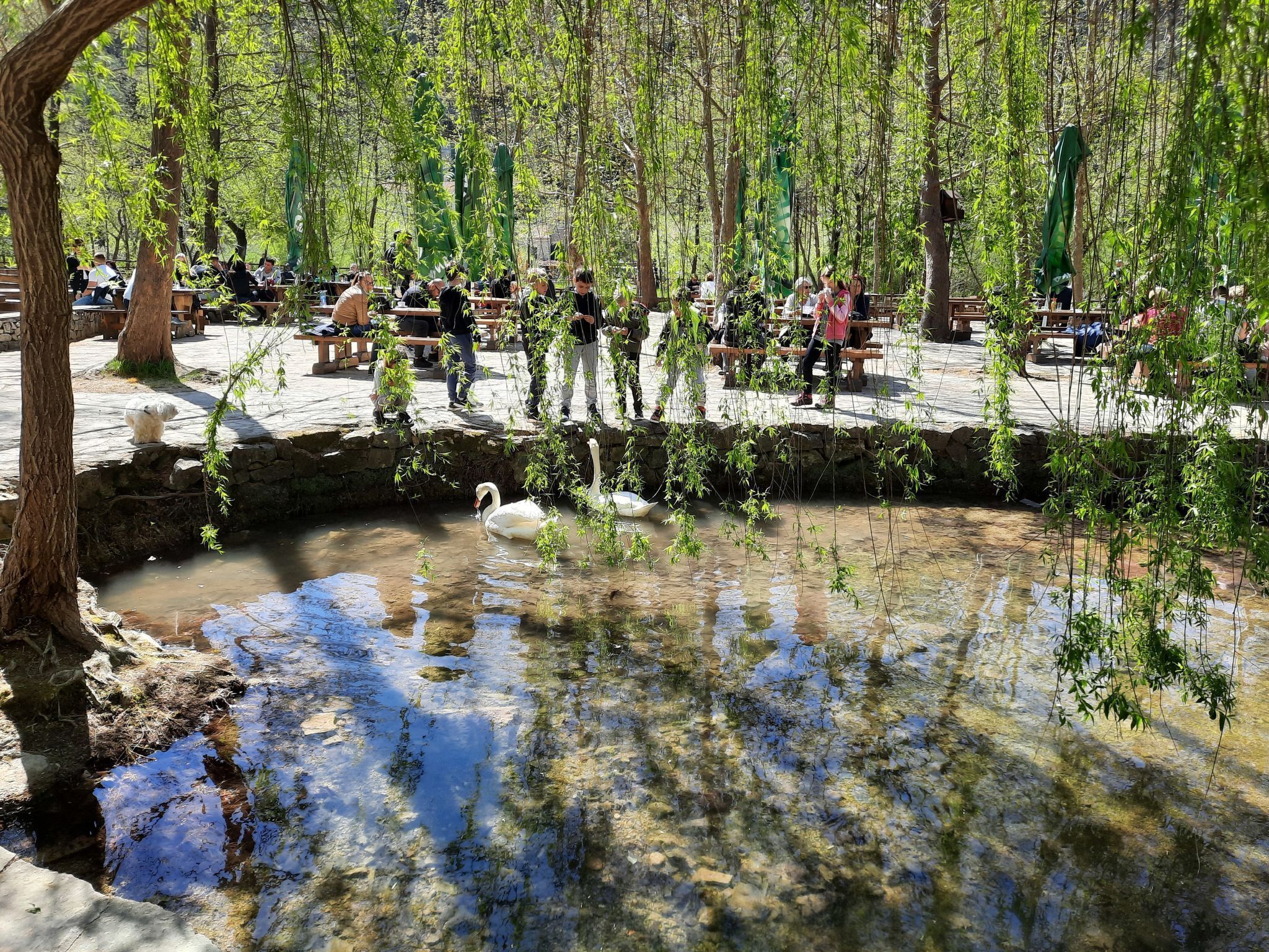 A serene outdoor area with a pond, benches, and people enjoying the space.