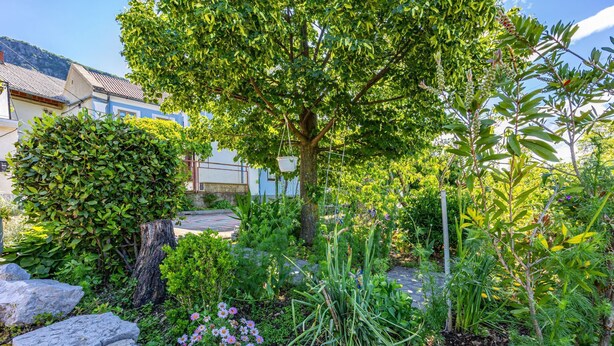 Un jardín con diversas plantas, un árbol y un camino de piedra.