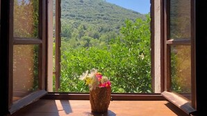 A window with an open view of a green landscape and a vase with flowers on a wooden surface. - "Kastil" mit privatem Pool by Interhome (Zrnovo)