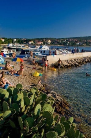 Una playa con gente tomando el sol y nadando, barcos amarrados al fondo y cactus en primer plano.