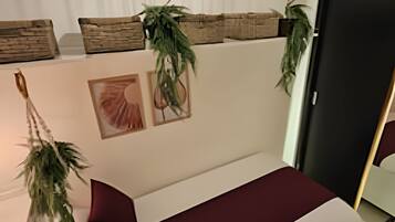 Appartement | Bureau, espace de travail pour ordinateur portable, Wi-Fi gratuit