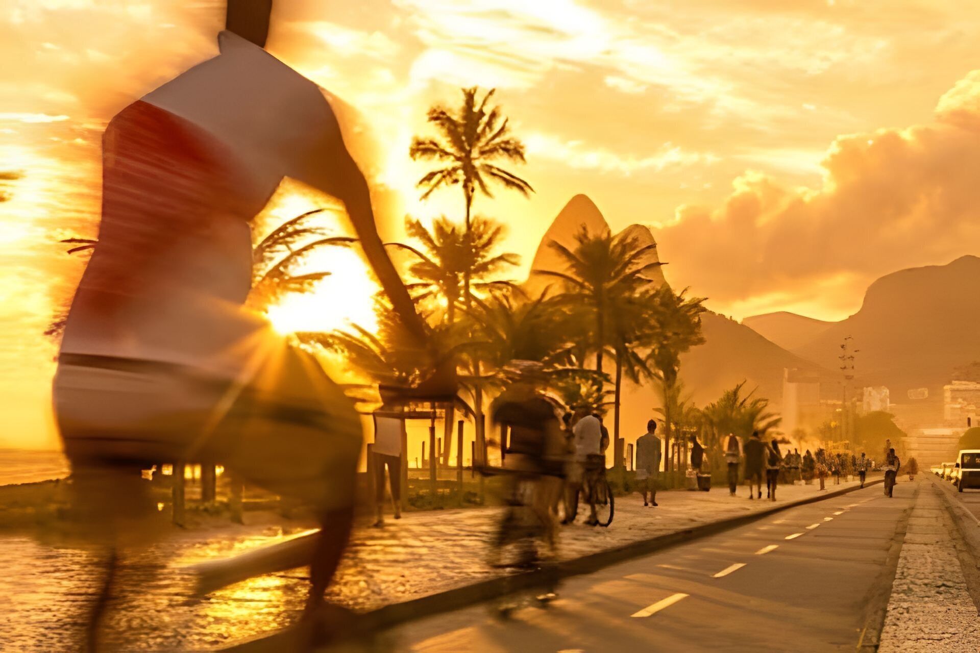 A sunset view with palm trees and a road.