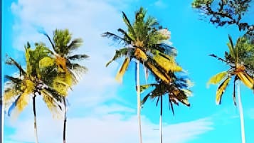 Camera doppia | Vista spiaggia/mare