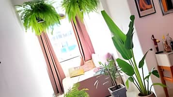 A modern living room with a sofa, a coffee table, and a large potted plant.