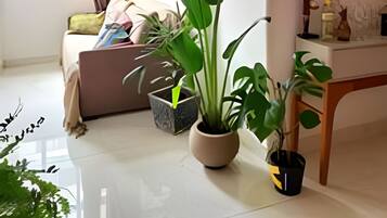 Quarto casal | Parte interna