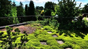 A garden with neatly arranged green shrubs and a wooden deck. - Pool-Wellness JOSKA by Interhome (Mladá Boleslav)