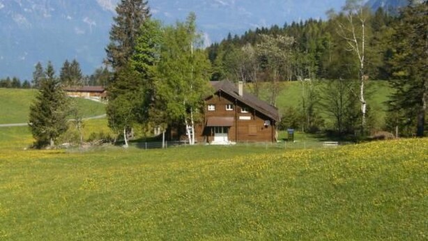A wooden cabin with a sloped roof, surrounded by a fenced yard and a field of yellow flowers. - Ferien im grünen rechts by Interhome (Haldi b. Schattdorf)