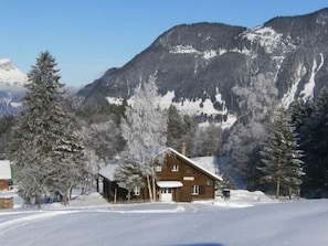 Exterior - Ferien im grünen rechts by Interhome (Haldi b. Schattdorf)
