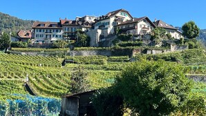 Une propriété située sur une colline, comprenant plusieurs bâtiments, des vignobles et un mur en pierre.